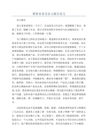 销售业务员实习报告范文