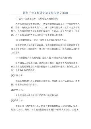 销售主管工作计划范文报告范文2024