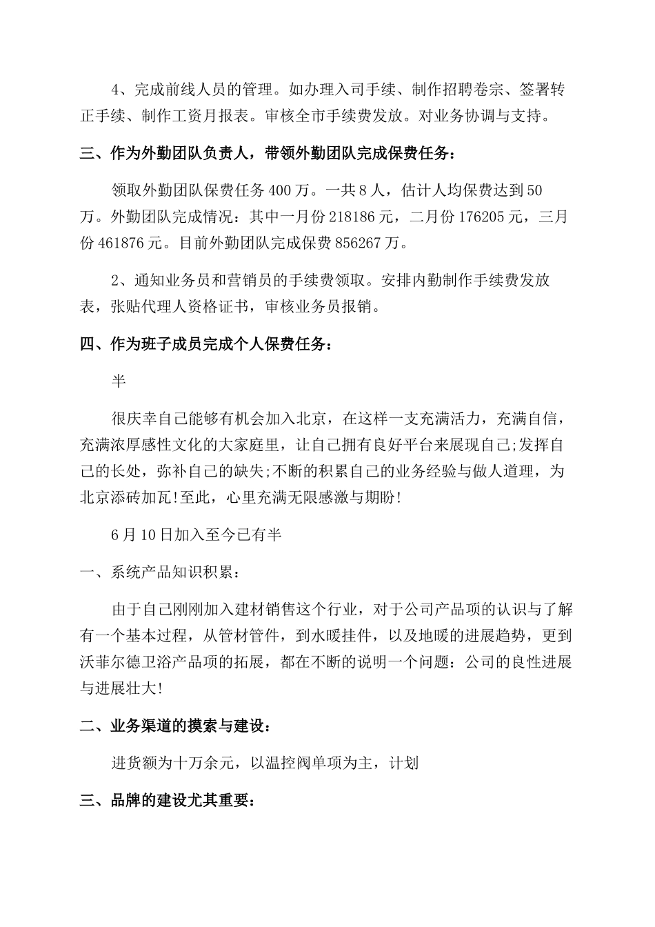 销售人员个人的工作总结_第2页