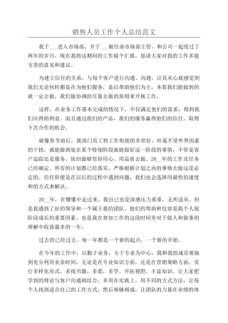 销售人员工作个人总结范文