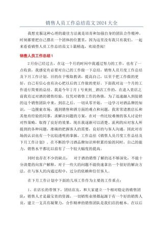 销售人员工作总结范文2024大全