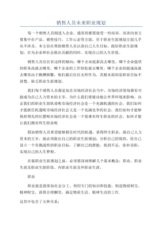 销售人员未来职业规划