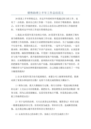 销售助理上半年工作总结范文