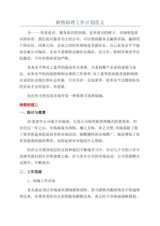 销售助理工作计划范文