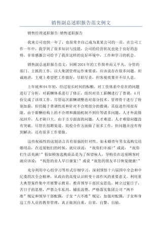销售副总述职报告范文例文