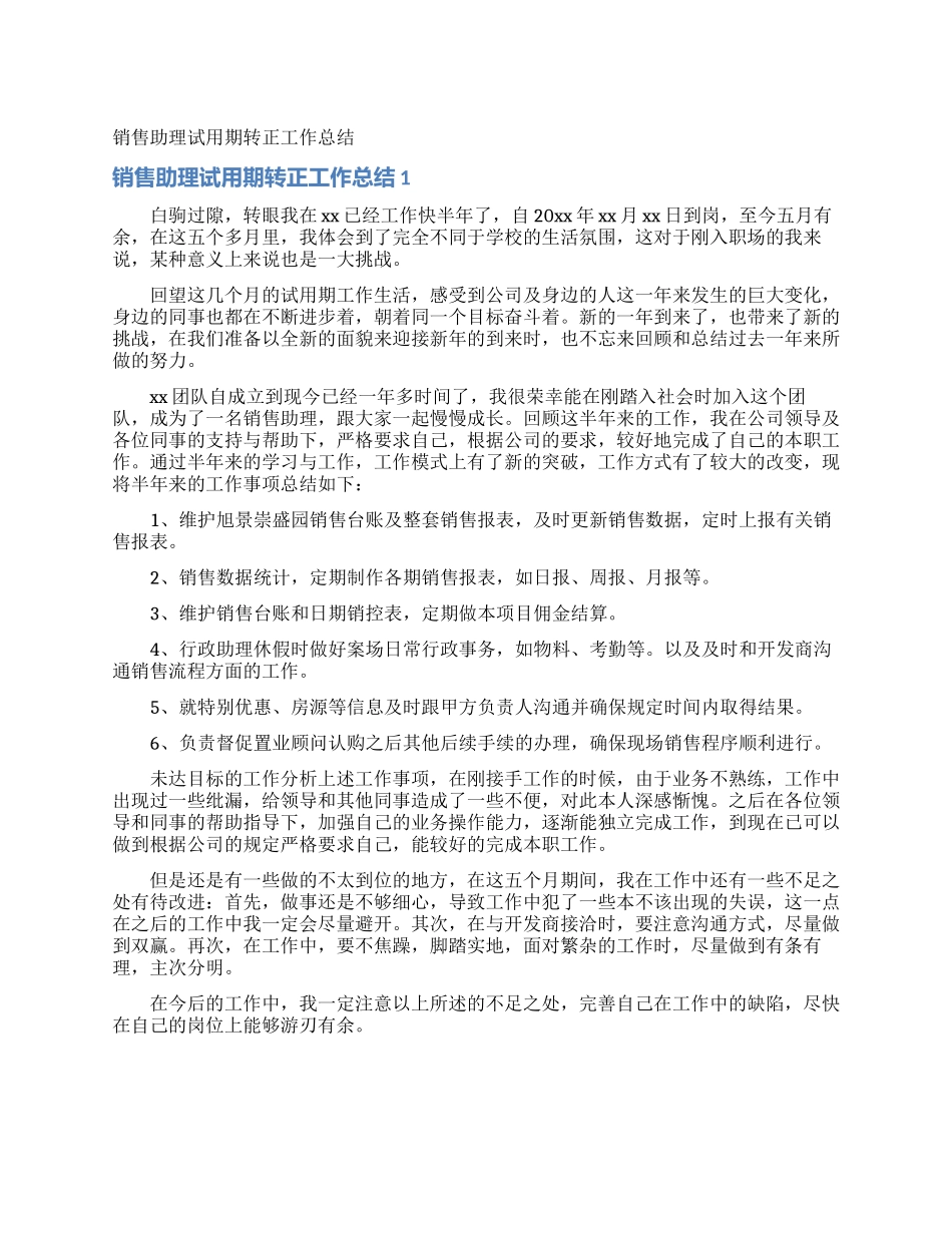 销售助理试用期转正工作总结_第1页