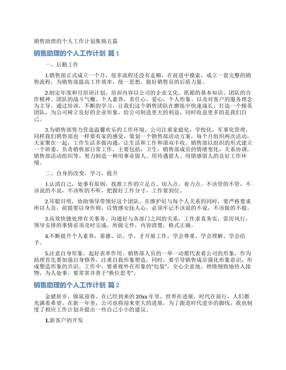 销售助理的个人工作计划集锦五篇_第1页