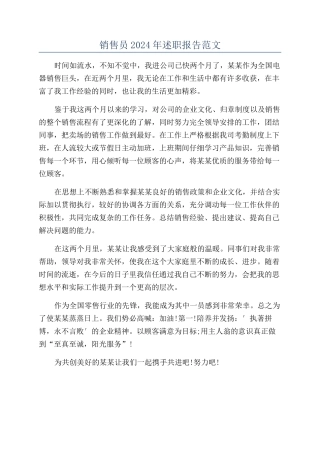 销售员2024年述职报告范文