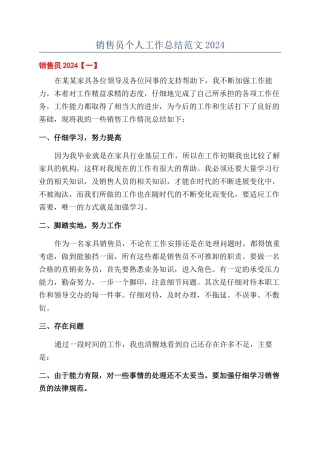 销售员个人工作总结范文2024