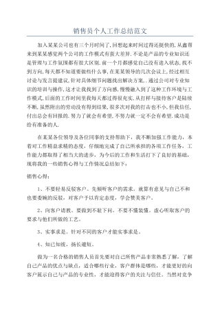 销售员个人工作总结范文
