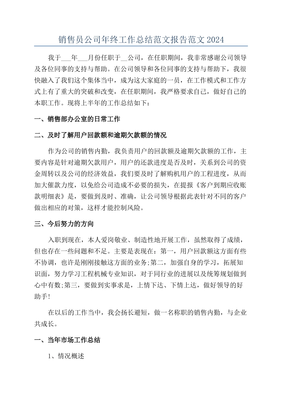 销售员公司年终工作总结范文报告范文2024_第1页