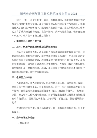 销售员公司年终工作总结范文报告范文2024
