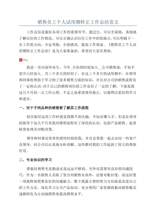 销售员工个人试用期转正工作总结范文