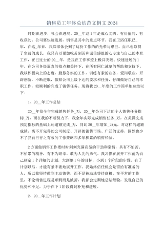 销售员工年终总结范文例文2024