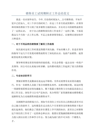 销售员工试用期转正工作总结范文