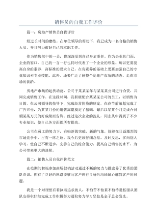 销售员的自我工作评价