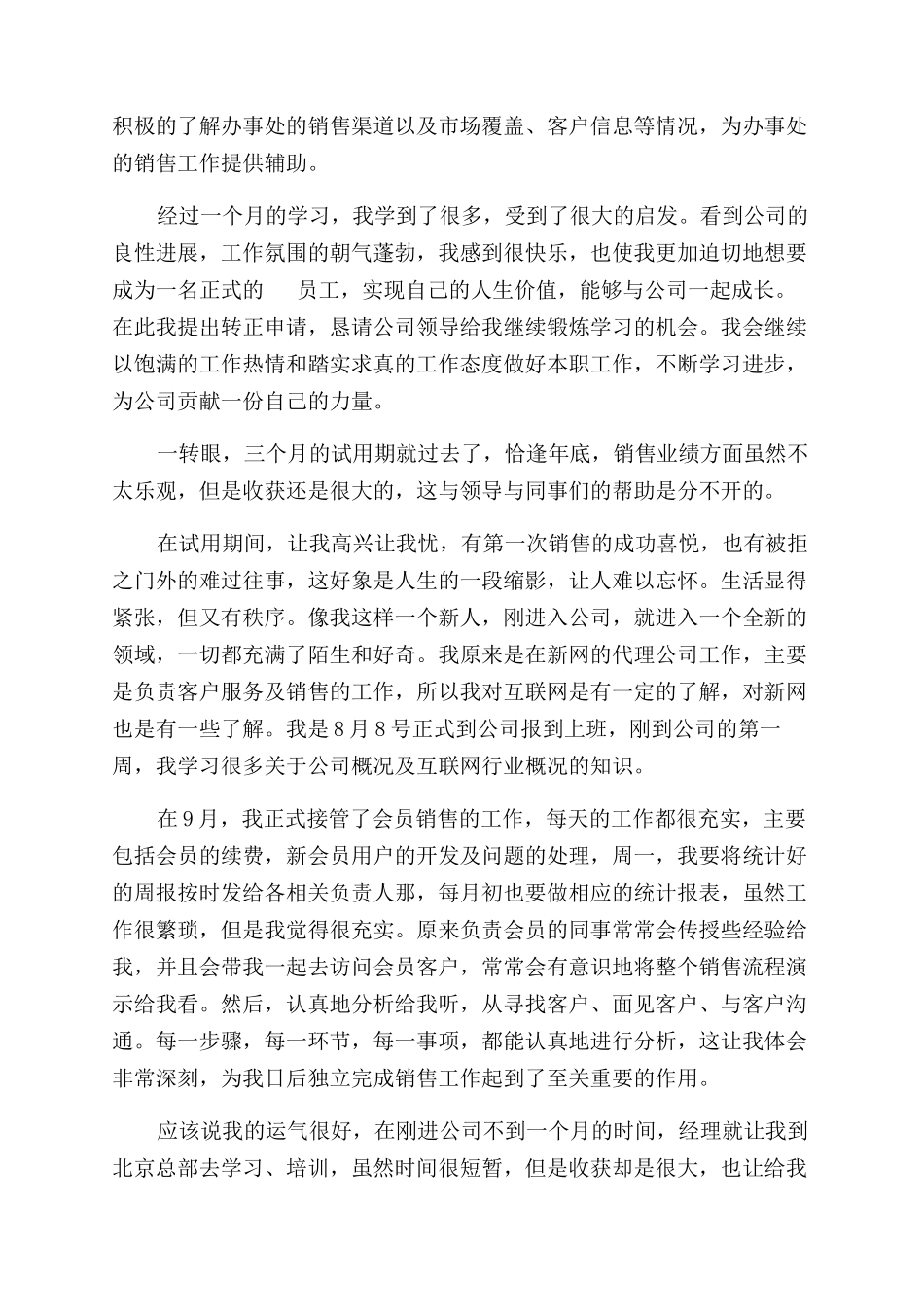 销售员试用期个人工作总结范文2024_第2页