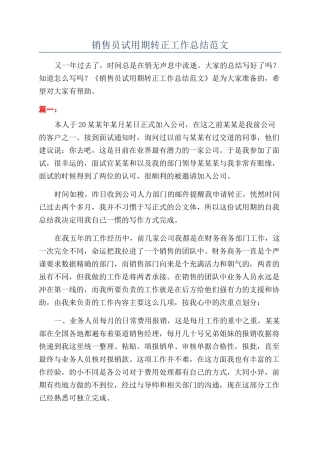 销售员试用期转正工作总结范文