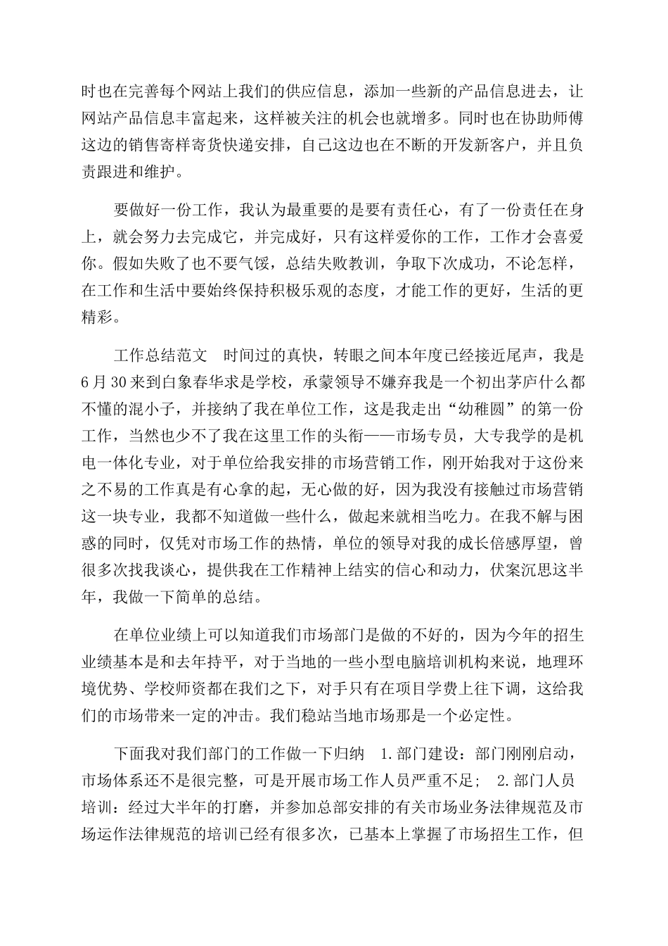 销售员试用期工作总结范文参考_第2页