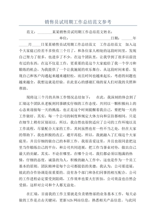 销售员试用期工作总结范文参考