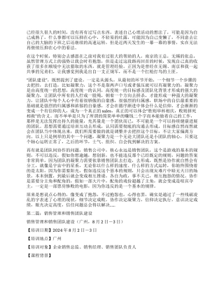 销售团队建设心得