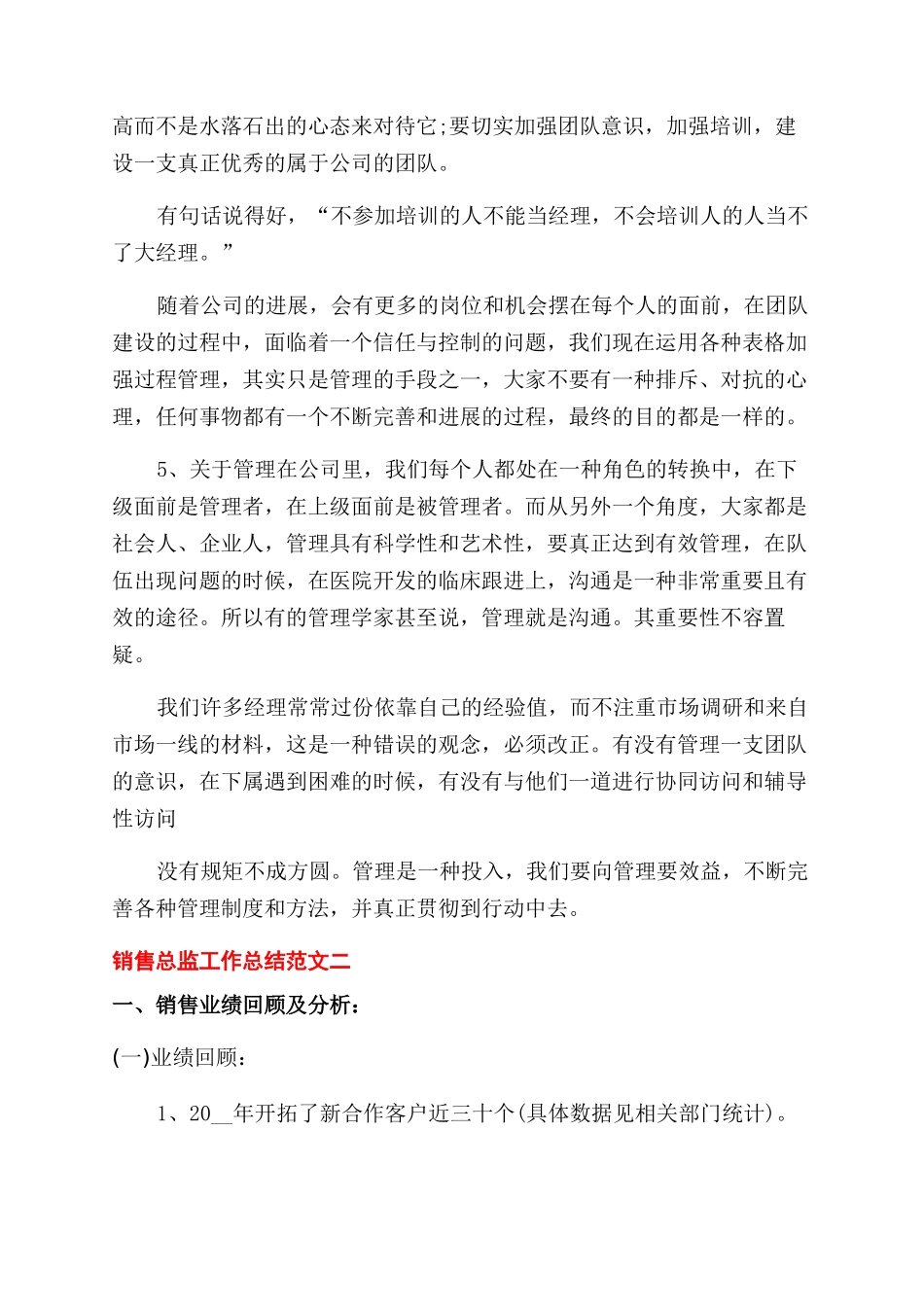 销售总监工作总结范文五篇_第3页