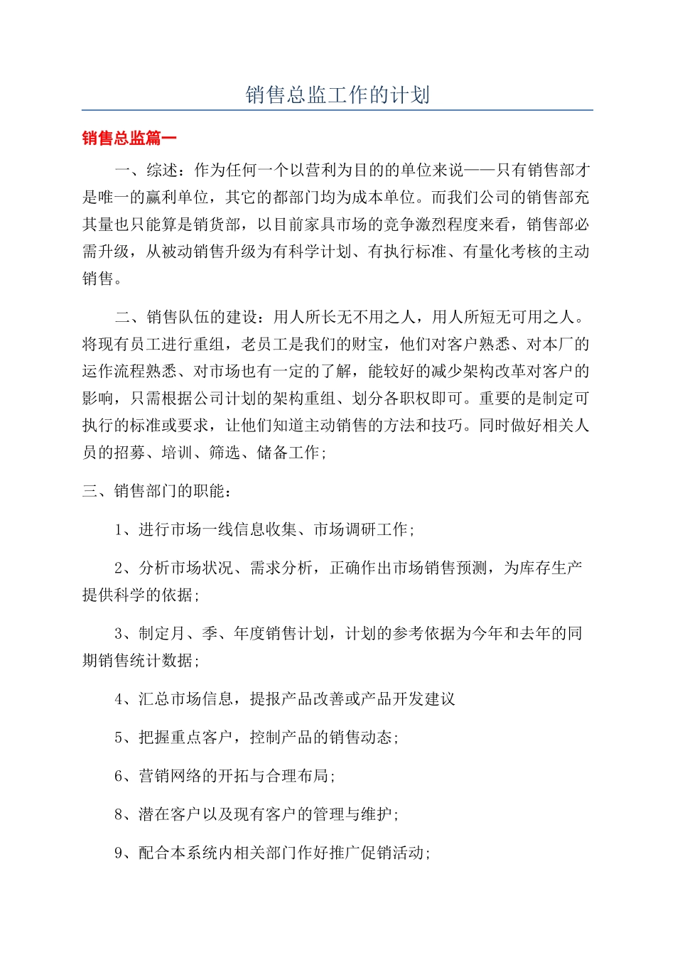 销售总监工作的计划_第1页