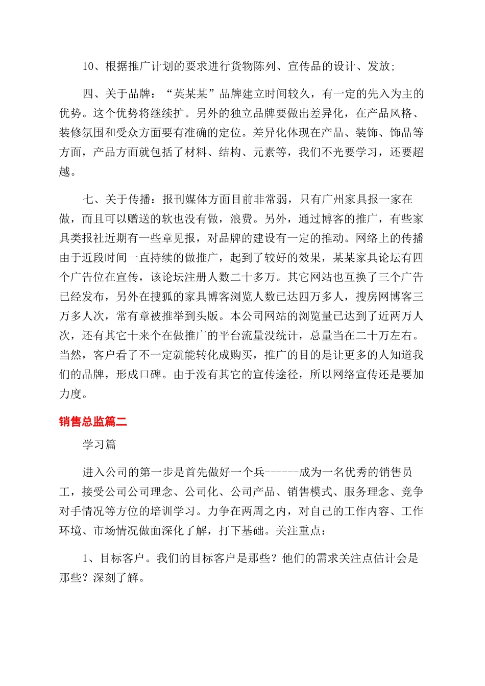 销售总监工作的计划_第2页