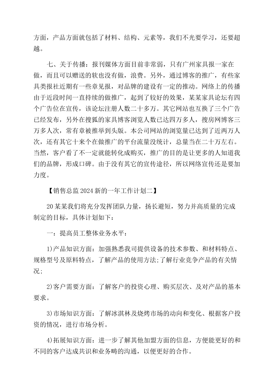 销售总监2024新的一年工作计划范文_第2页