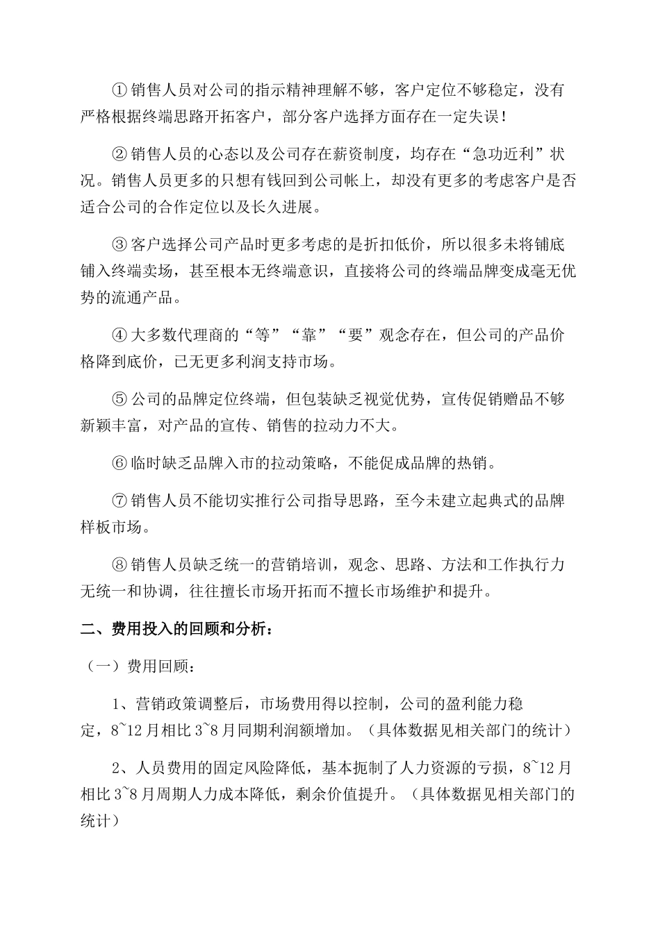 销售总监的年度个人工作总结范文_第2页