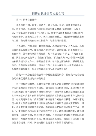 销售自我评价范文怎么写