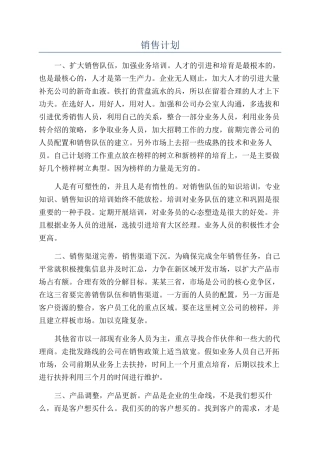 销售计划-精品文档