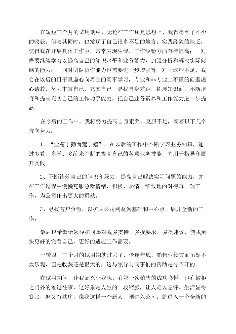 销售试用期工作总结范文4篇_第2页