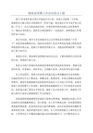销售试用期工作总结范文4篇