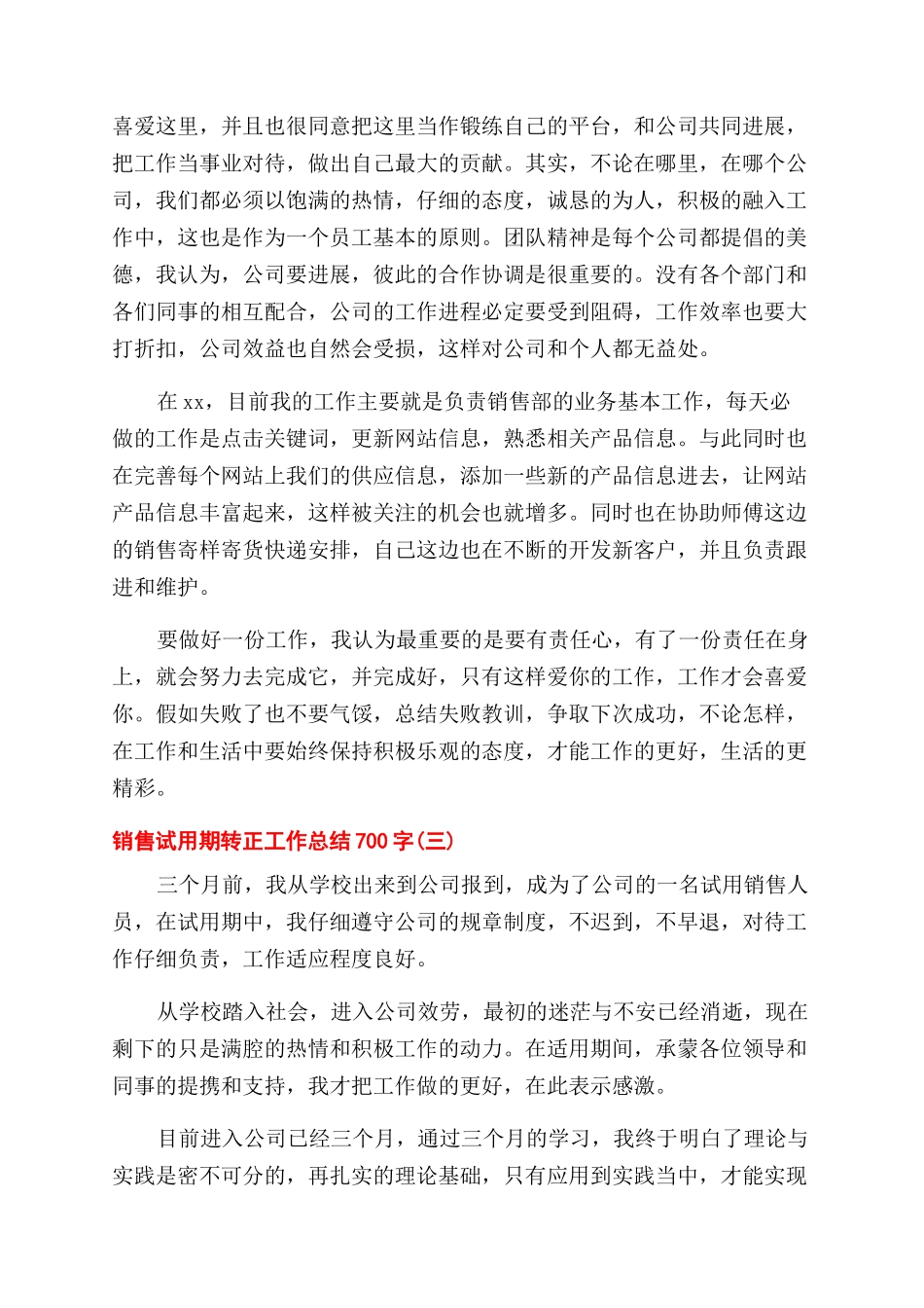 销售试用期转正工作总结范文700字_第3页