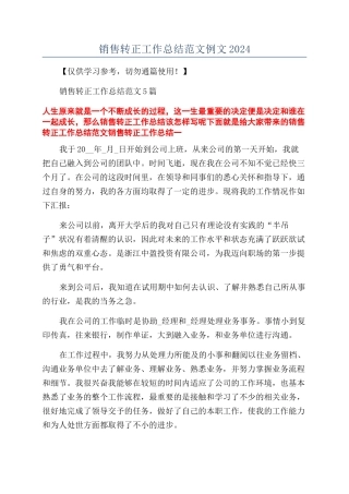 销售转正工作总结范文例文2024