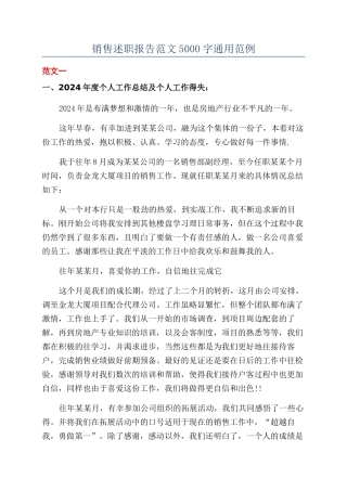 销售述职报告范文5000字通用范例