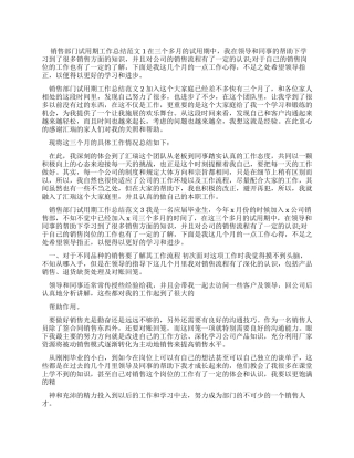 销售部门试用期工作总结例文-销售工作总结