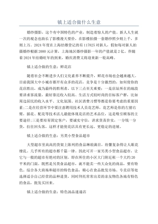 镇上适合做什么生意