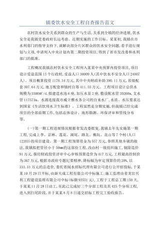 镇委饮水安全工程自查报告范文