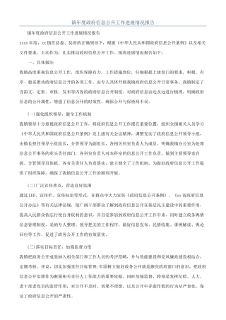 镇年度政府信息公开工作进展情况报告