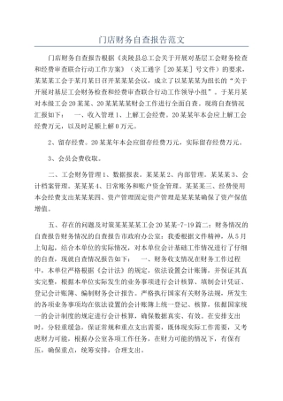 门店财务自查报告范文