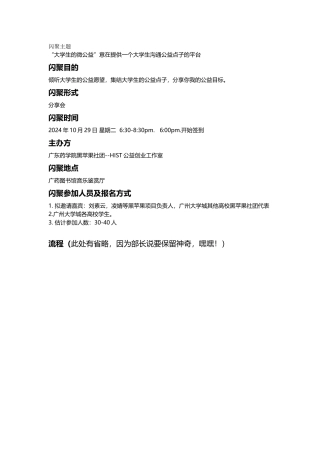 闪聚策划书精简