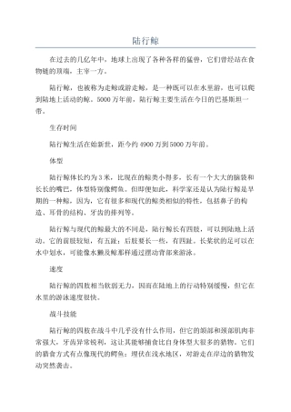 陆行鲸-精品文档