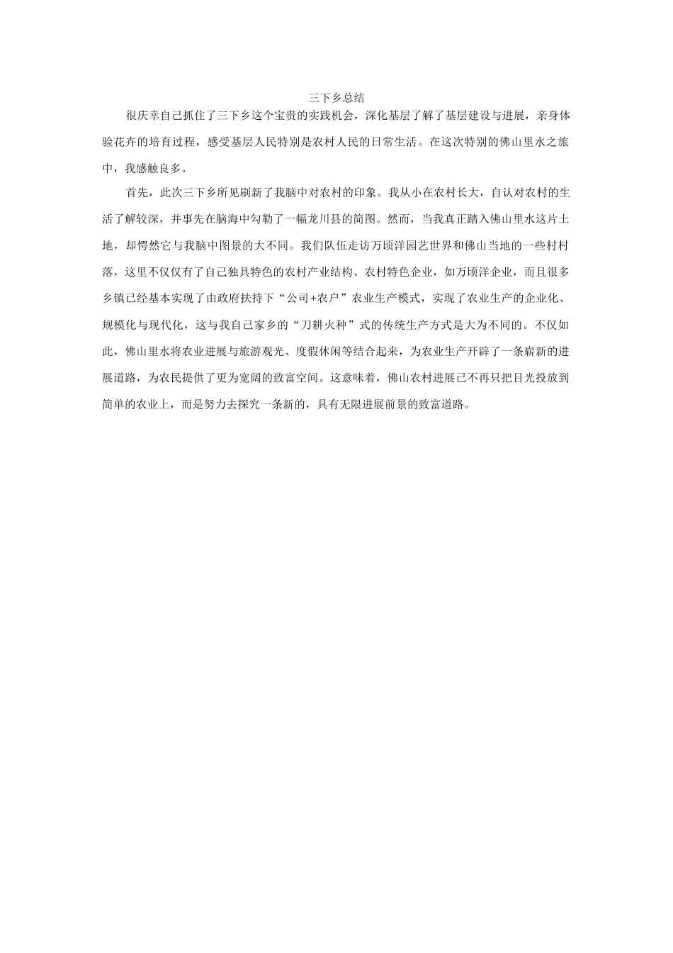 陈紫晖-三下乡总结_第1页