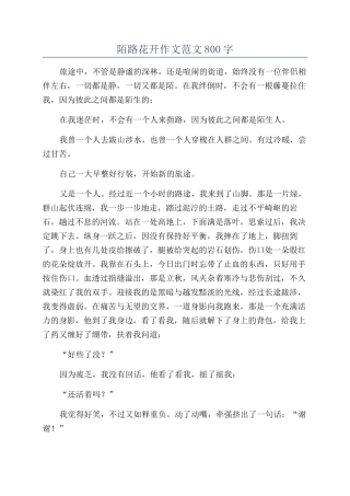 陌路花开作文范文800字