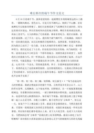 难忘那次的端午节作文范文