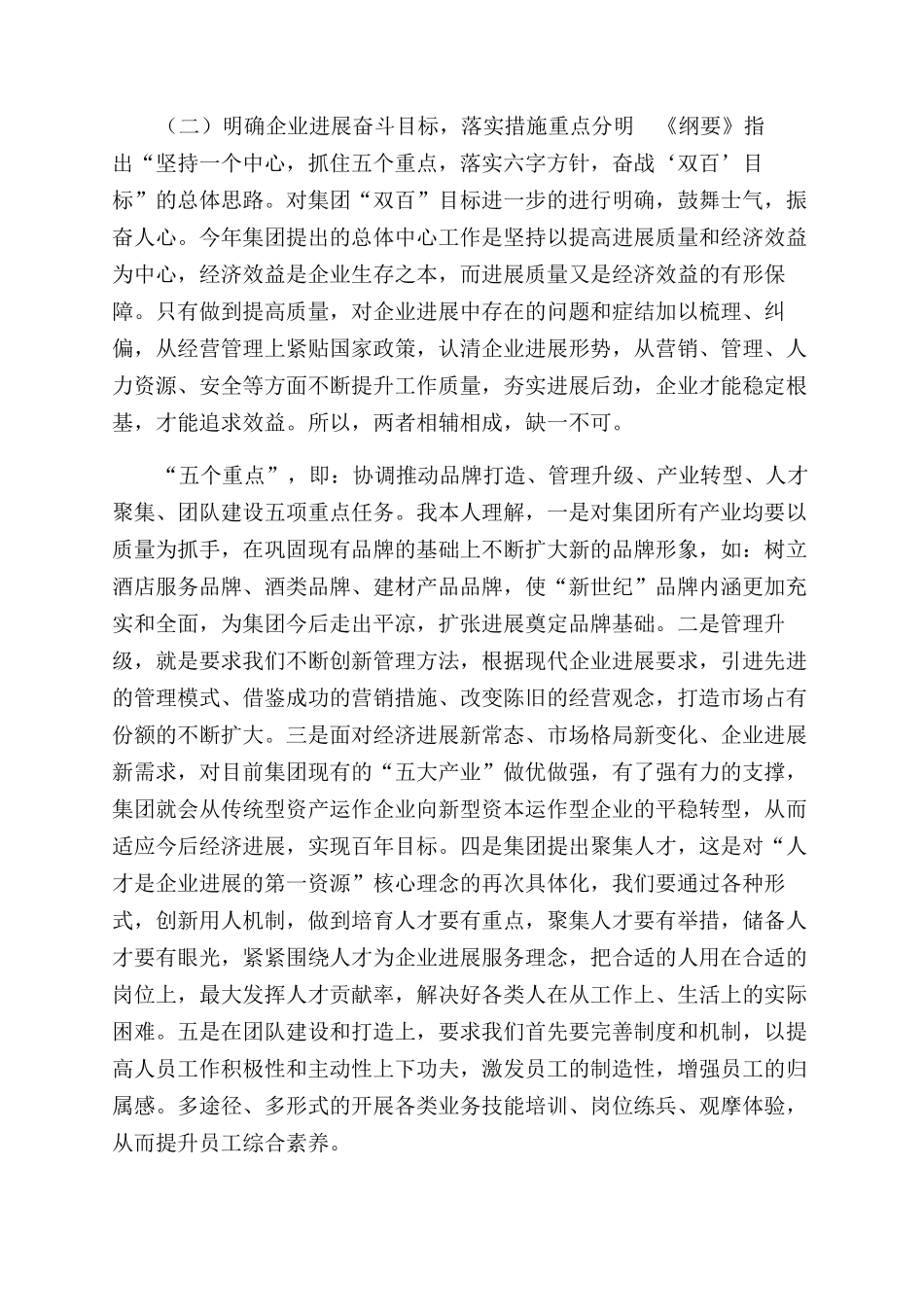 集团《发展纲要》讨论发言稿_第2页