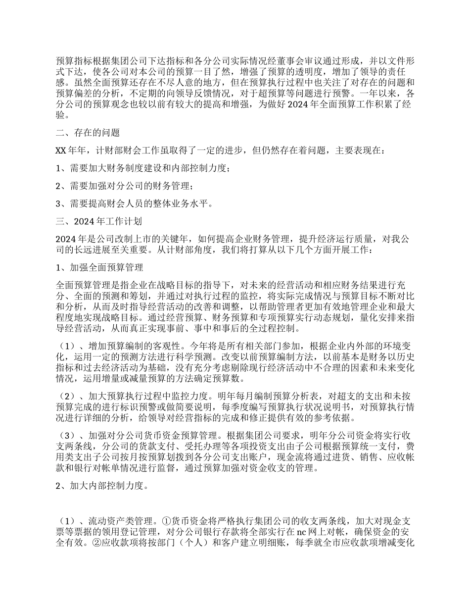 集团公司计财部2024年度财务工作总结_第2页