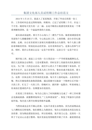 集团文化部人员试用期工作总结范文